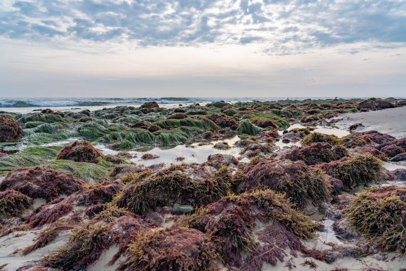 1/800 seconds, f/5.6, 250, edited